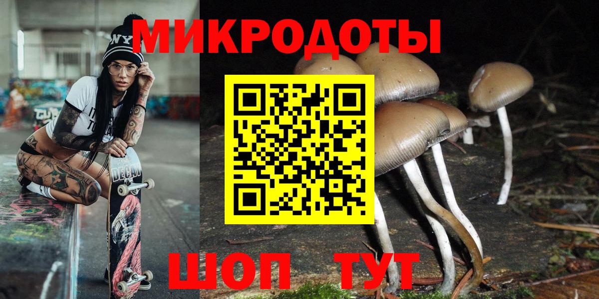 Чайковский  где купить   Вход с VPN  Псилоцибиновые грибы Cubensis 