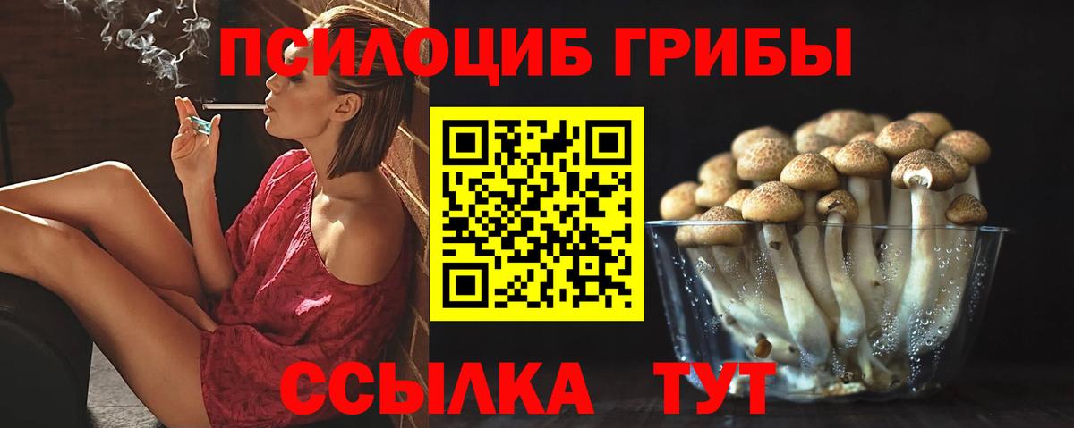 Псилоцибиновые грибы мухоморы Чайковский
